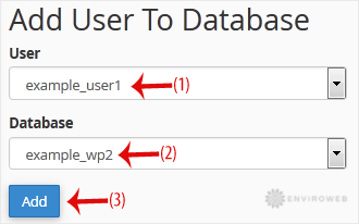 Add user to database