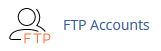 FTP Accounts icon