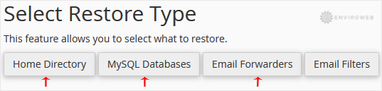 Select restore type