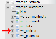 wp-options table in phpMyAdmin