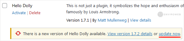 Update Plugin