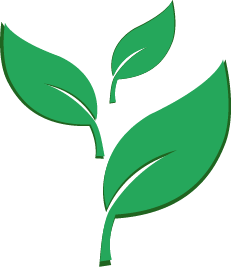 MyTreesPlanted2.png